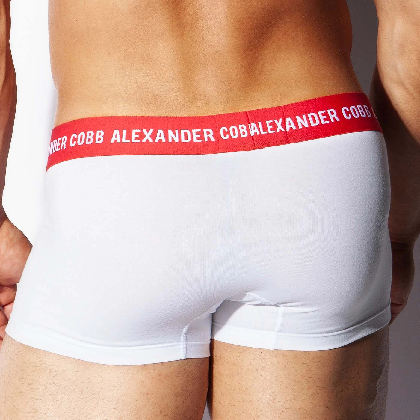 Boxer Turkana Alexander COBB 8CBS23 4 Boxer Turkana Alexander COBB 8CBS23 – Image 2