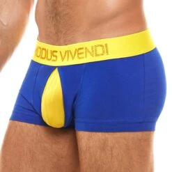 Boxer Modus Vivendi Secret Pleat 03121 -Bikkembergs Soldes Boxer modus 03121 bleu 4