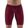 Boxer Long ErgoWear MAX XV EW1154 2 Boxer Long ErgoWear MAX XV EW1154 -Bikkembergs Soldes boxer ergo ew1154 bordeau m