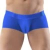 Shorty ErgoWear MAX XX EW1295 -Bikkembergs Soldes shorty ergo EW1295 royal m