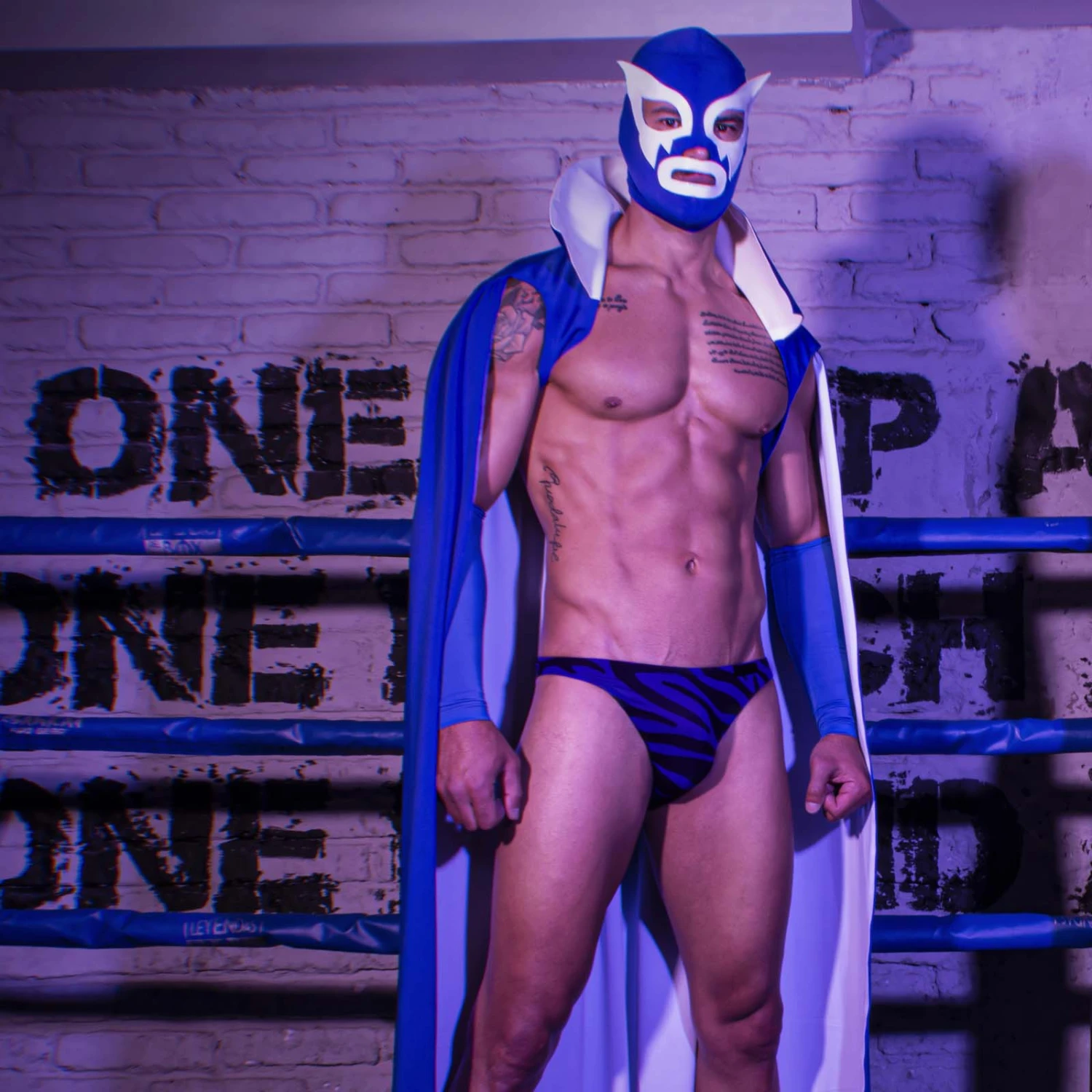 Slip Modus Vivendi Tiger 07314 4 Slip Modus Vivendi Tiger 07314 – Image 2