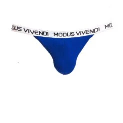 Tanga Modus Vivendi Eggs 09811 -Bikkembergs Soldes tanga modus 09811 bleu 9