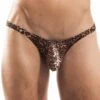 Tanga Wojoer Brauner Leo SP3B14 -Bikkembergs Soldes tanga wojoer SP3B14 marron m